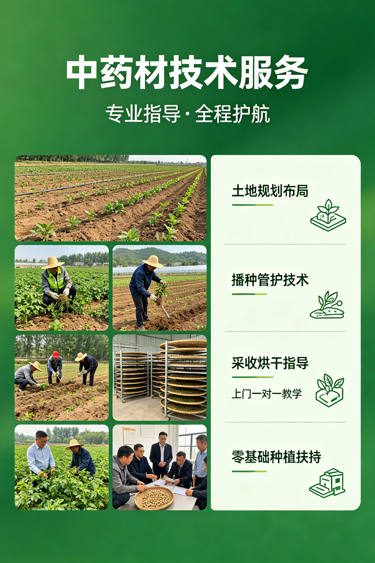 中草药研学活动宣传海报 (1).jpg