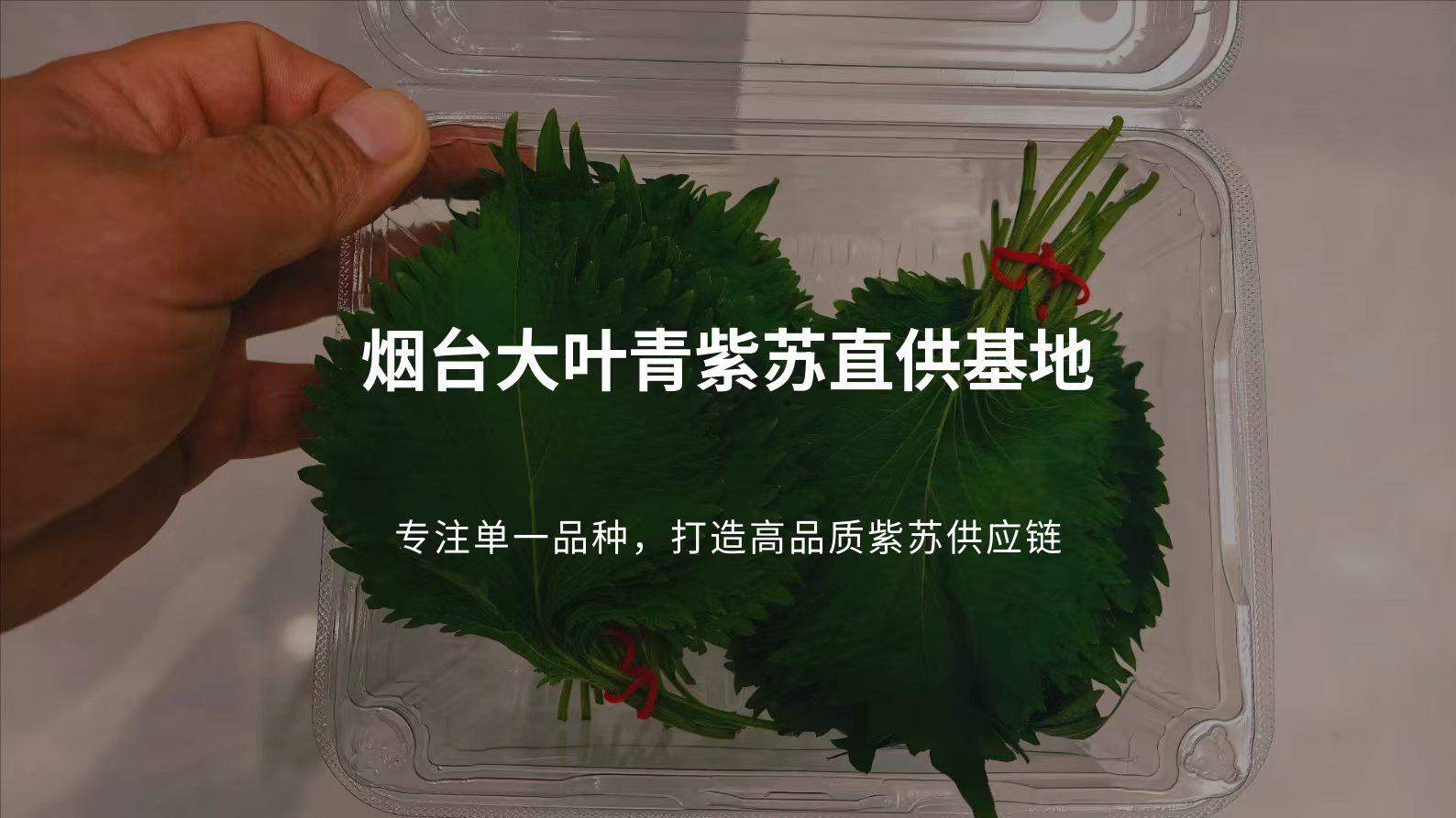 微信图片_20260804131326_47_2.jpg