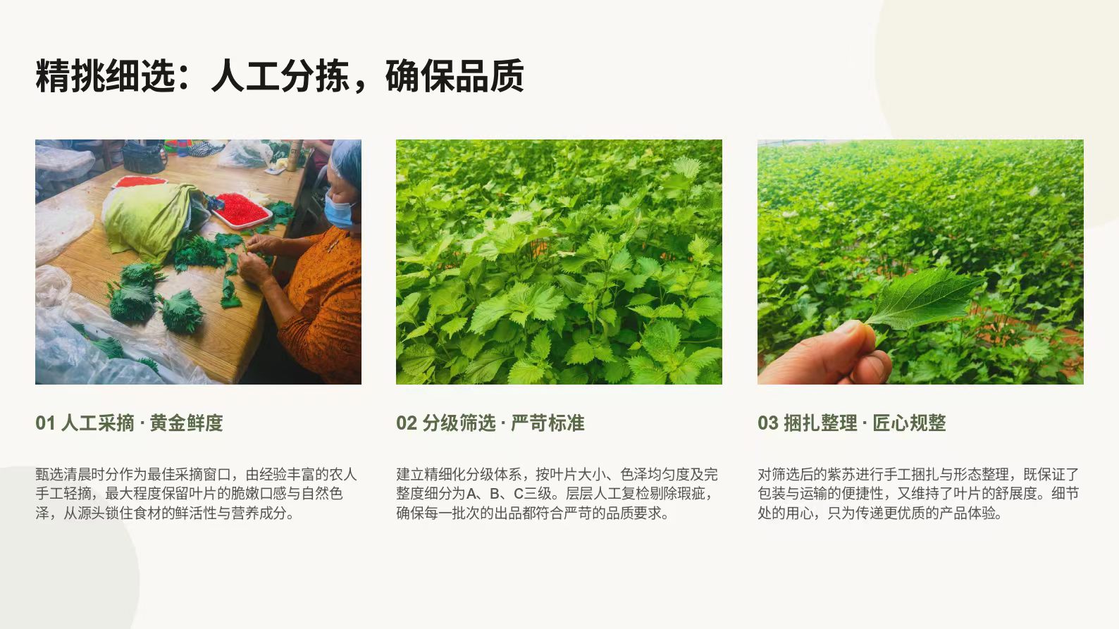微信图片_20260804131325_46_2.jpg