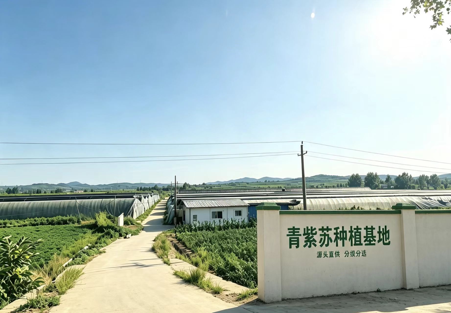 微信图片_20260804131323_44_2.jpg